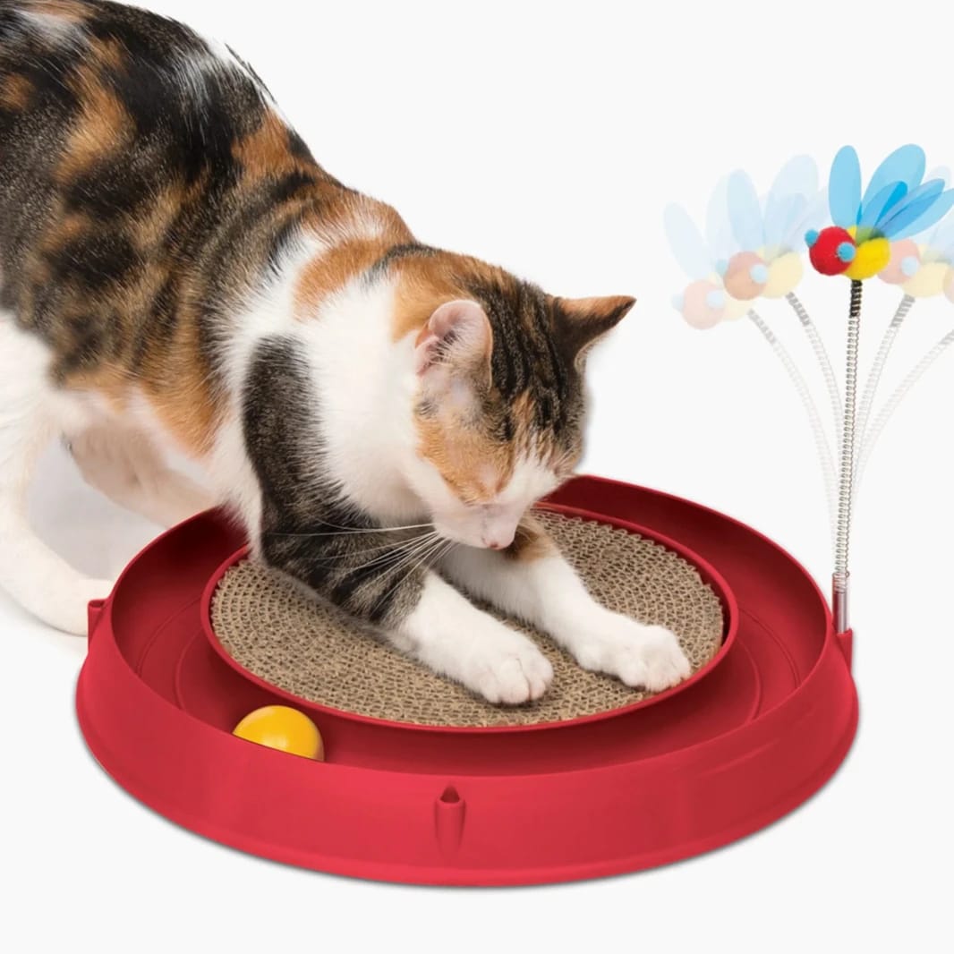 Scratch game with balls