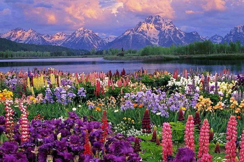 Spring is a month