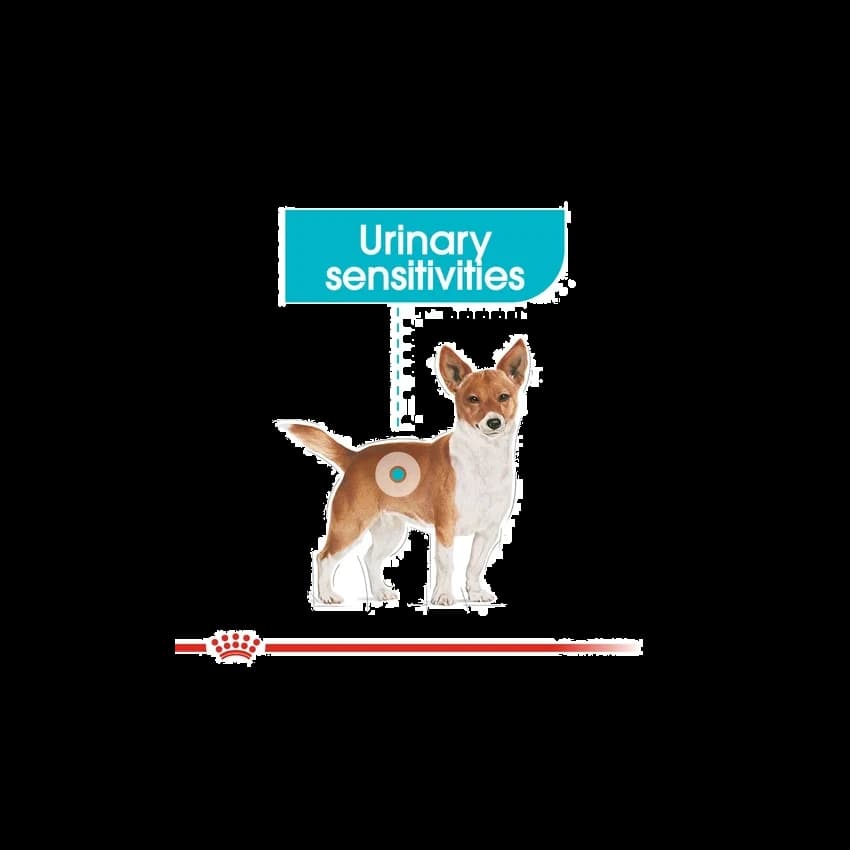 Royal Canin CCN Mini Urinary Care 3KG