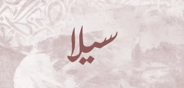 Meaning of the name Sila