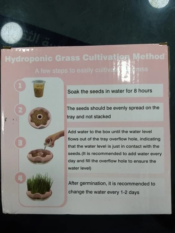 عشبة القطط (Cat Grass)