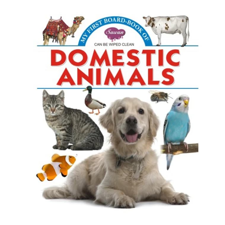Domestic Animals • 2020