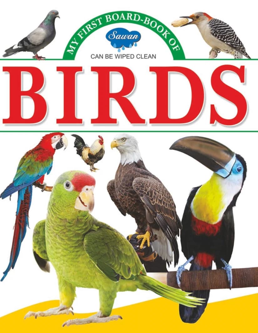 Birds • 2019