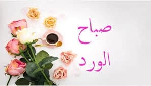 Rosy morning