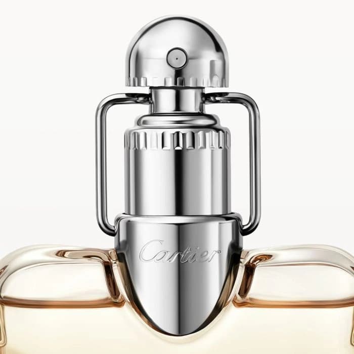 Cartier Declaration EDP 100Ml For Men