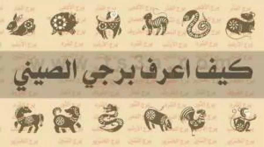 How do I find out my Chinese zodiac sign?
