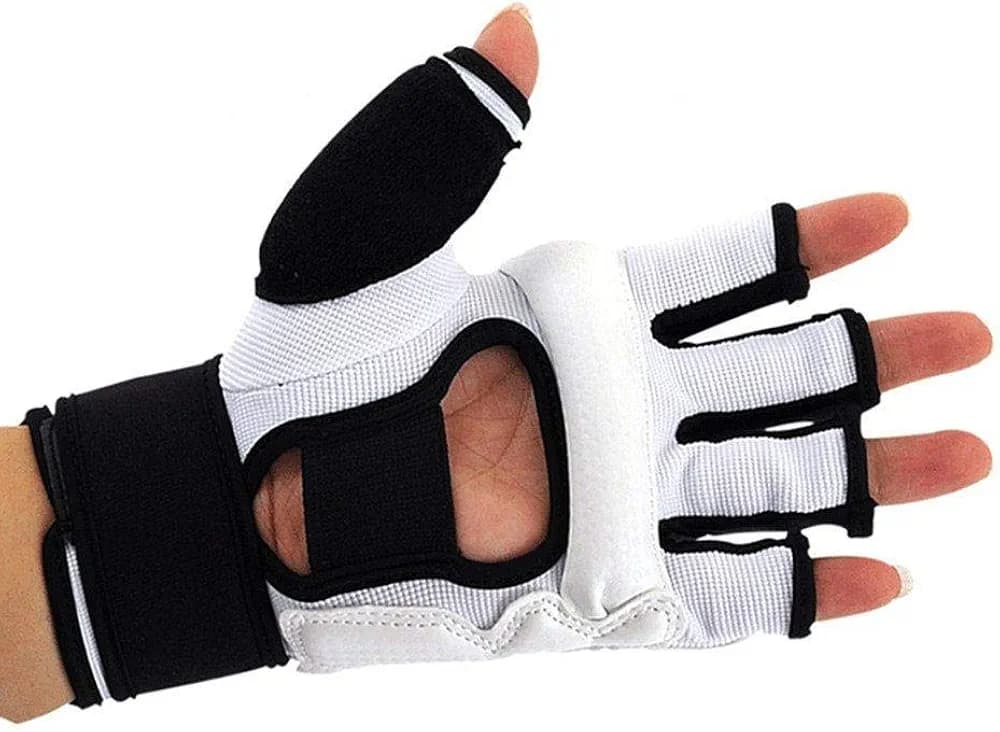 Original Taekwondo Hand Protector