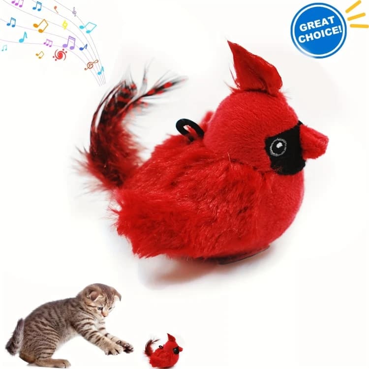 Cat toys offer
