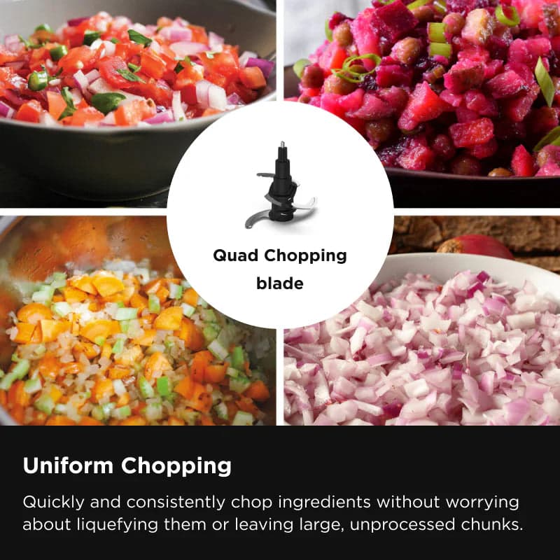 Ninja BN650 Food Processor