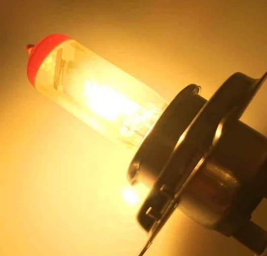 H4 Halogen Bulbs