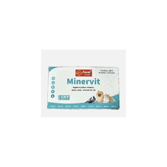 Minervit ANVIT