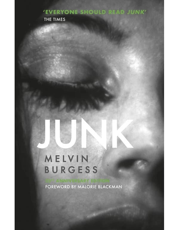 Junk Novel