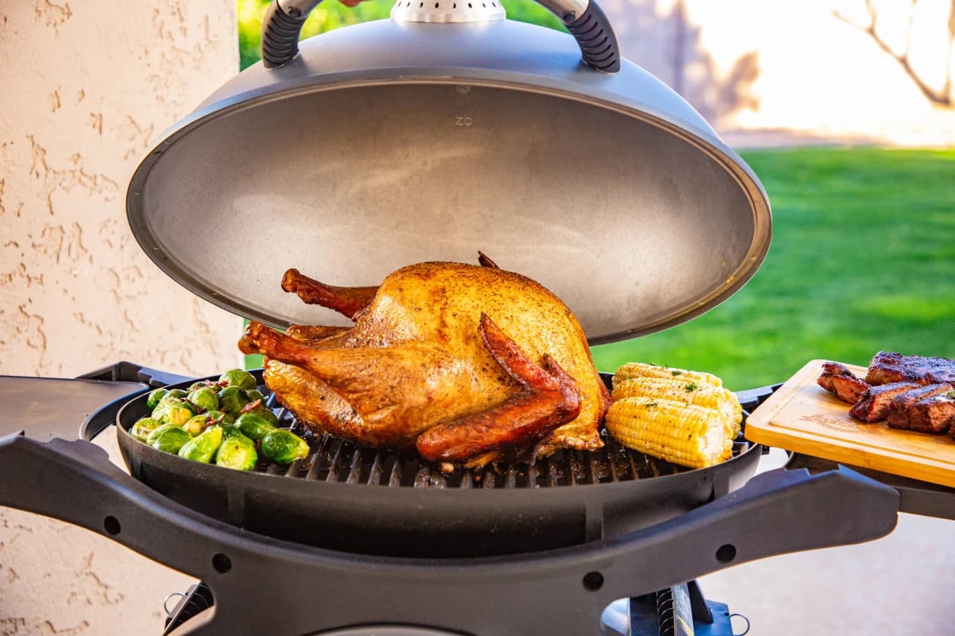 Pit Boss Grill Sportsman 2B