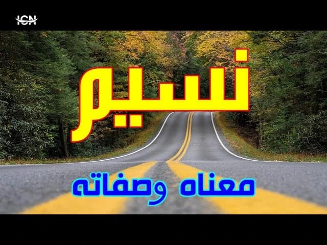 The meaning of the name Naseem