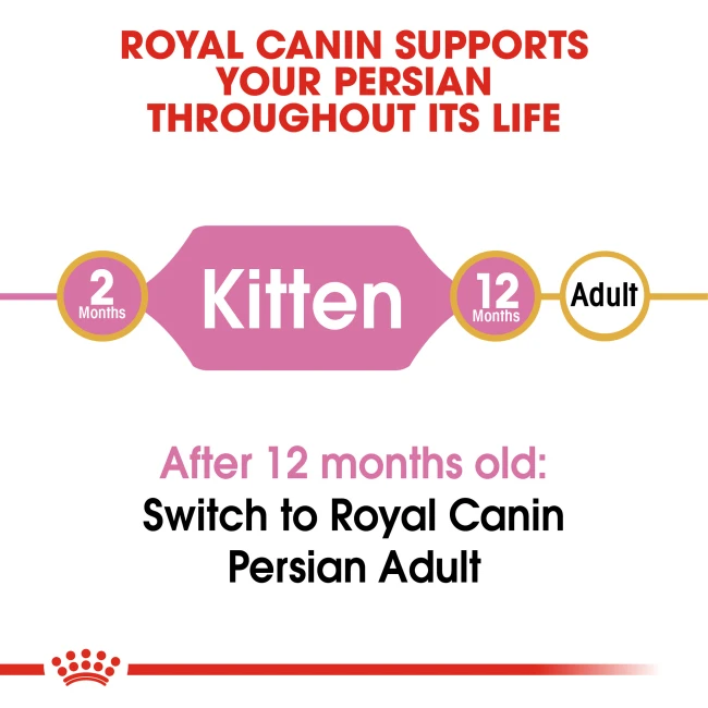 Persian Kitten - /2kg