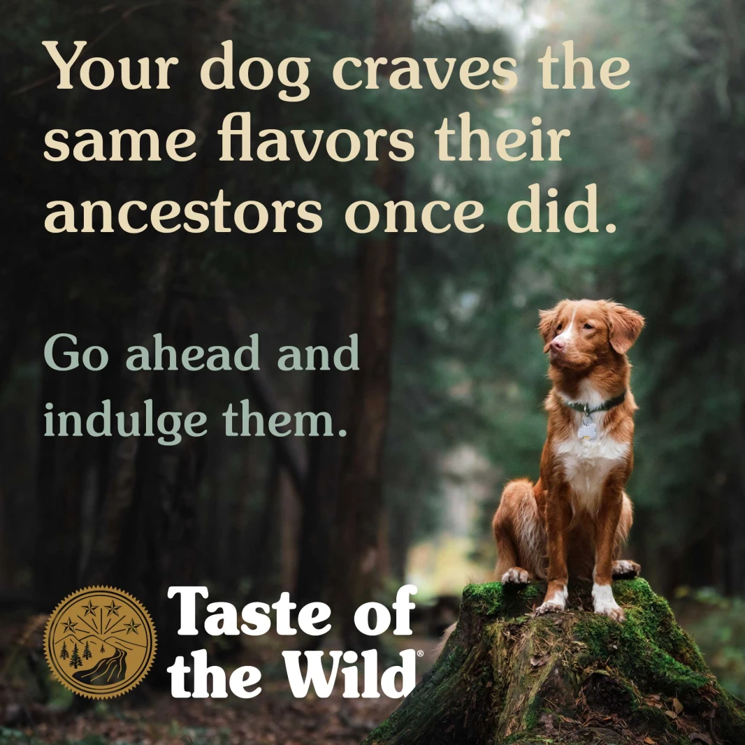 Taste of the Wild® Pacific Stream Canine Formula 0.374 kg (12/pack)