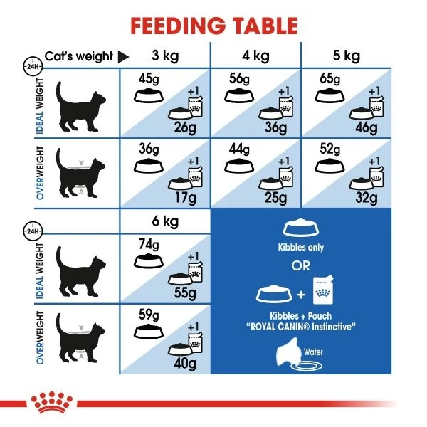 ROYAL CANIN INDOOR 27 - /400gm