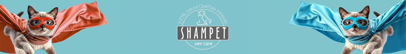 Shampet