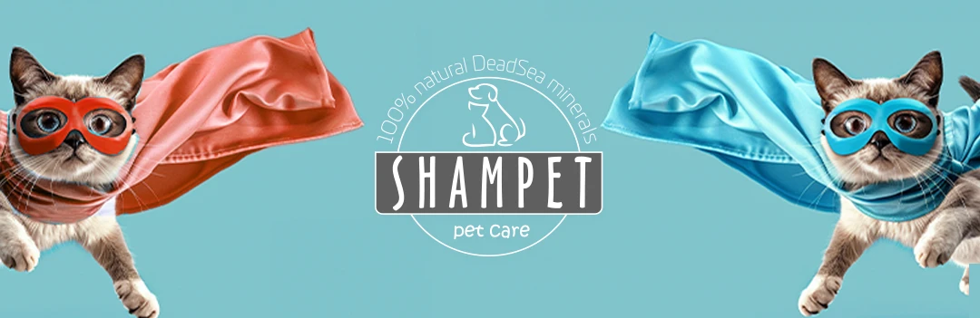 Shampet