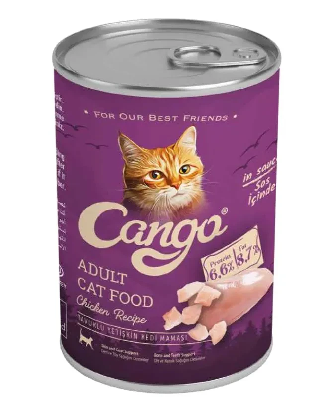 Special Offer: 12 wet food cans and 12 treats for your furry friend!