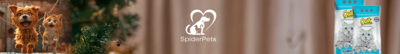 spider pets