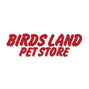Birds land