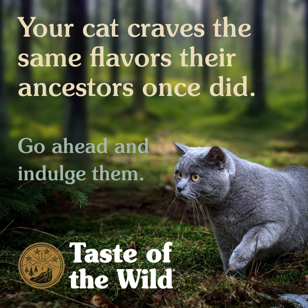 "Taste of the Wild (Cats) لحم الغزال والسلمون